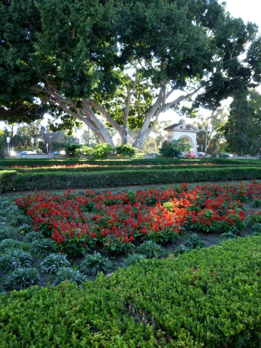 Alcazar garden balboa park